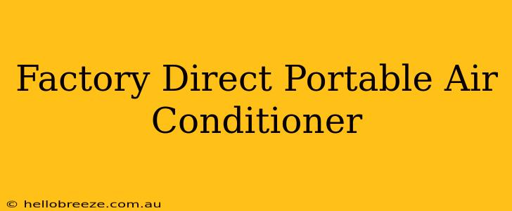 Factory Direct Portable Air Conditioner