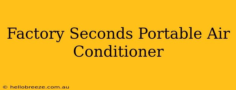 Factory Seconds Portable Air Conditioner