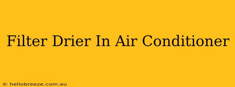 Filter Drier In Air Conditioner