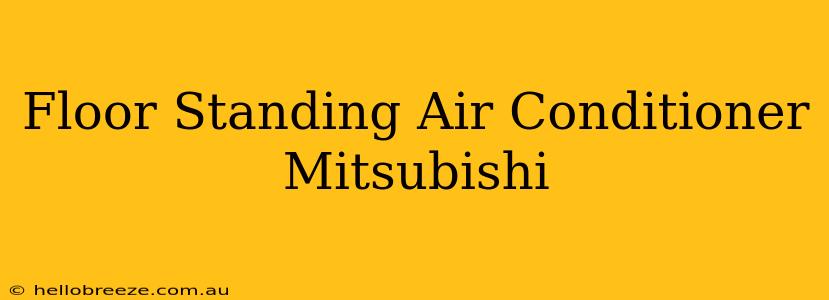 Floor Standing Air Conditioner Mitsubishi