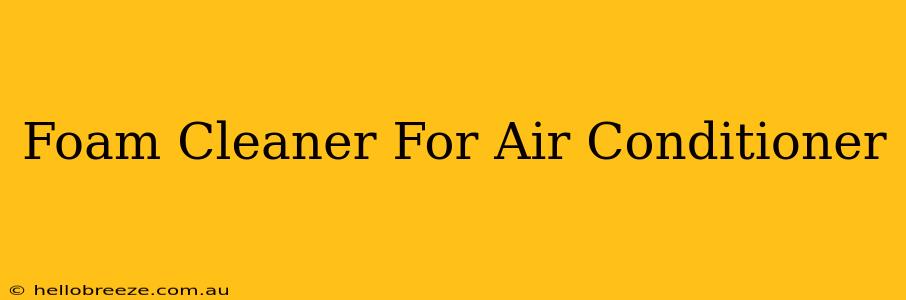 Foam Cleaner For Air Conditioner