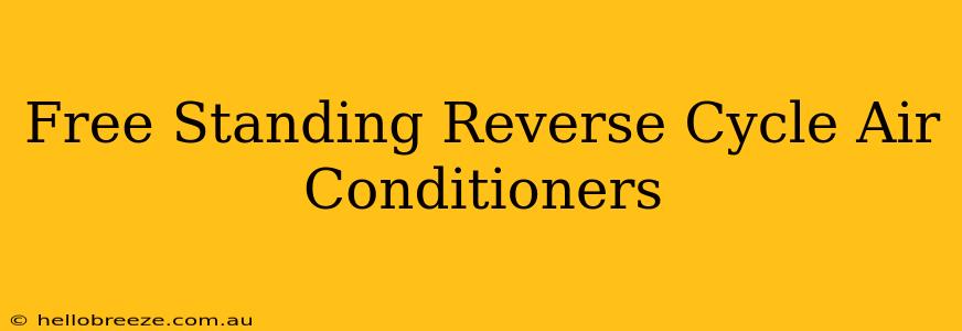 Free Standing Reverse Cycle Air Conditioners