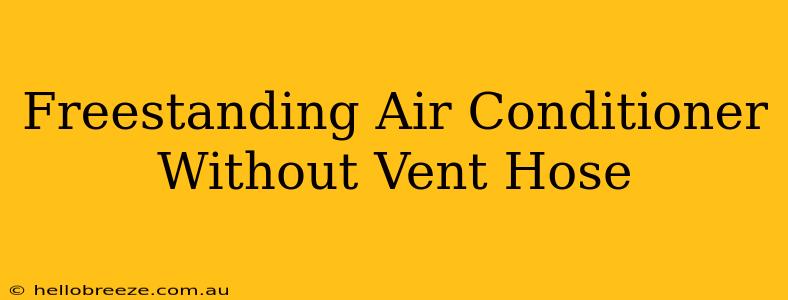 Freestanding Air Conditioner Without Vent Hose