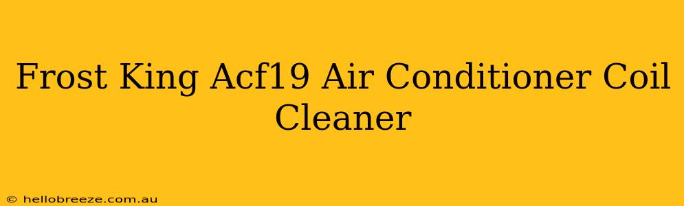 Frost King Acf19 Air Conditioner Coil Cleaner