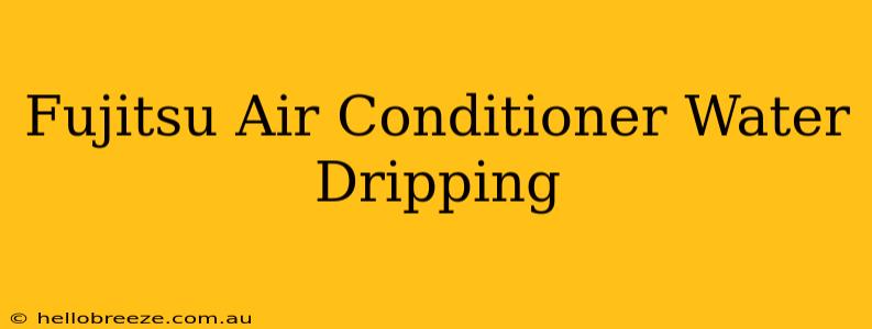 Fujitsu Air Conditioner Water Dripping