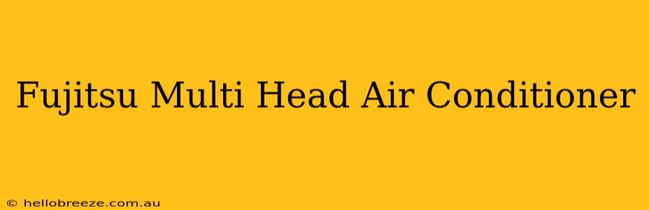 Fujitsu Multi Head Air Conditioner