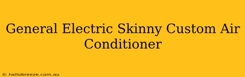 General Electric Skinny Custom Air Conditioner