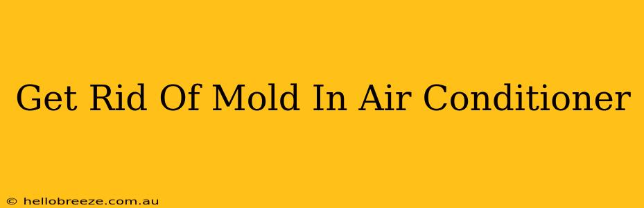 Get Rid Of Mold In Air Conditioner