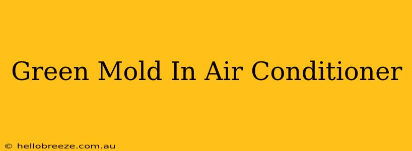 Green Mold In Air Conditioner