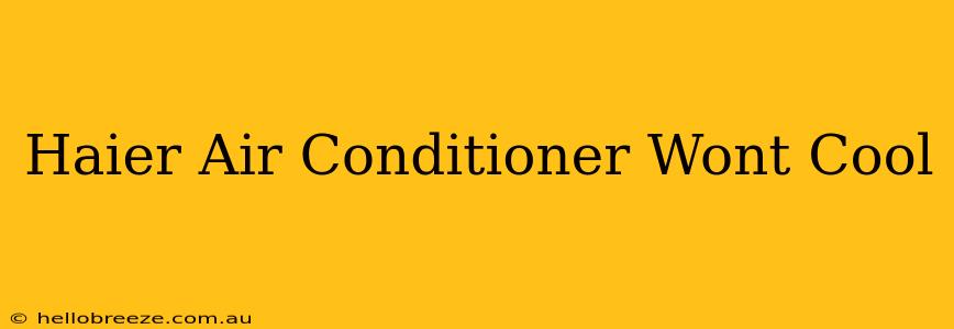 Haier Air Conditioner Wont Cool