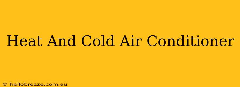 Heat And Cold Air Conditioner