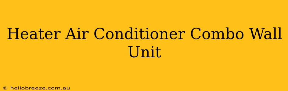 Heater Air Conditioner Combo Wall Unit