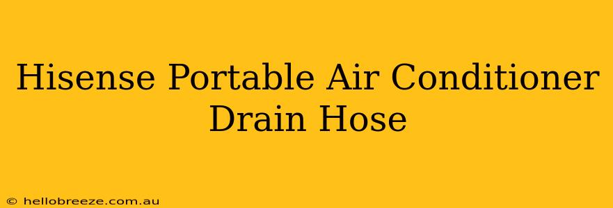 Hisense Portable Air Conditioner Drain Hose