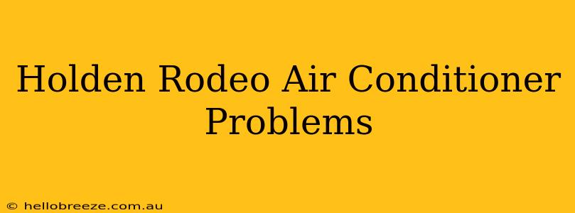 Holden Rodeo Air Conditioner Problems