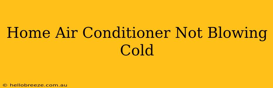 Home Air Conditioner Not Blowing Cold