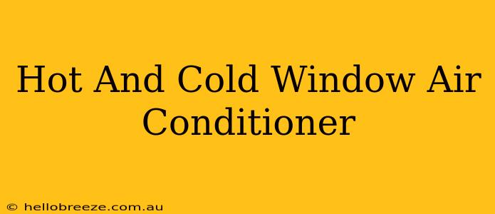 Hot And Cold Window Air Conditioner