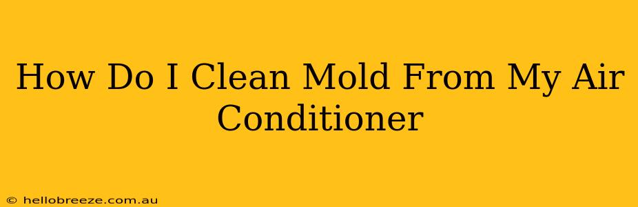 How Do I Clean Mold From My Air Conditioner