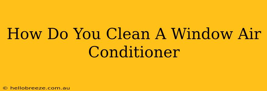 How Do You Clean A Window Air Conditioner