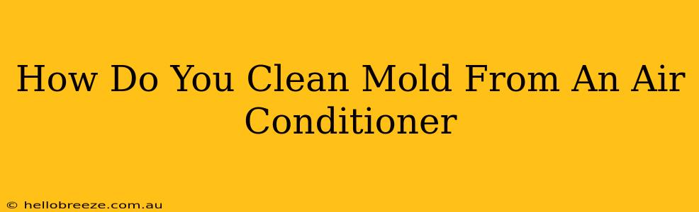 How Do You Clean Mold From An Air Conditioner