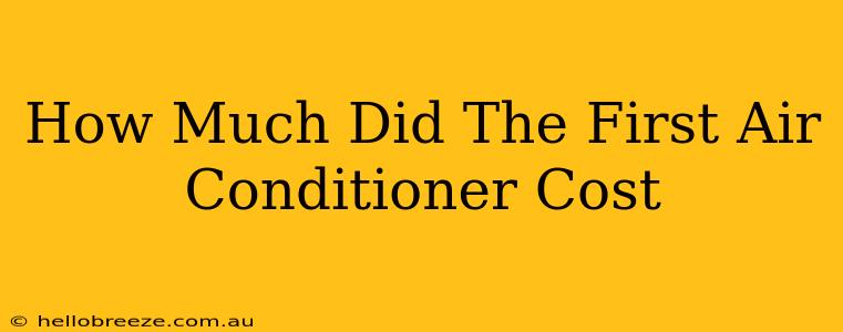 How Much Did The First Air Conditioner Cost