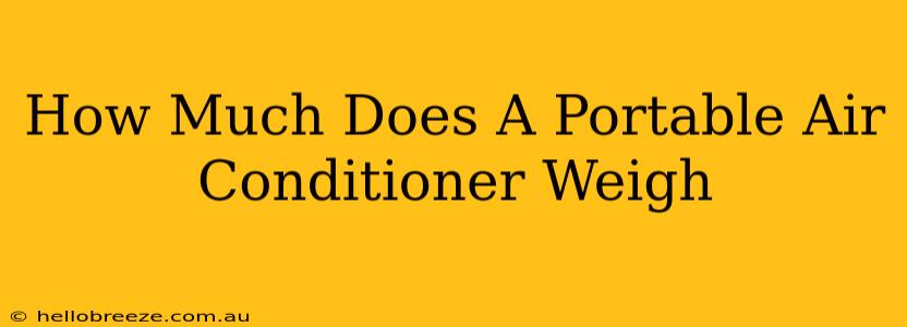 How Much Does A Portable Air Conditioner Weigh