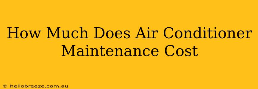 How Much Does Air Conditioner Maintenance Cost