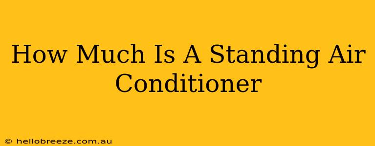 How Much Is A Standing Air Conditioner