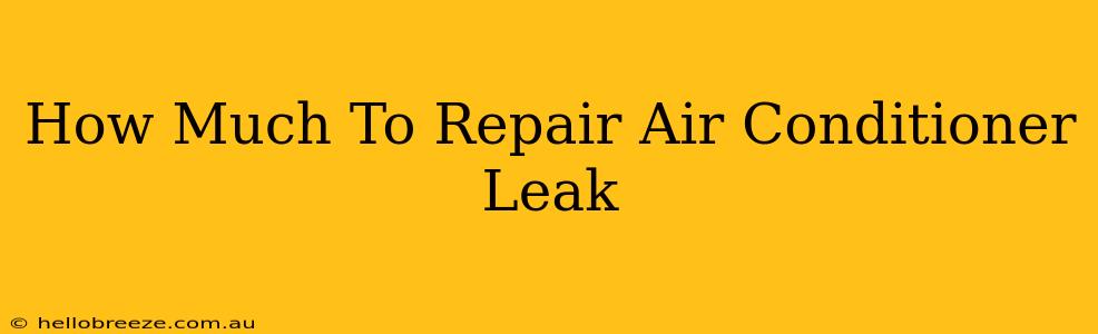 How Much To Repair Air Conditioner Leak