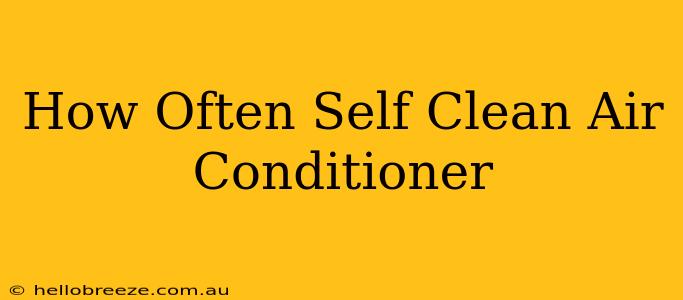 How Often Self Clean Air Conditioner