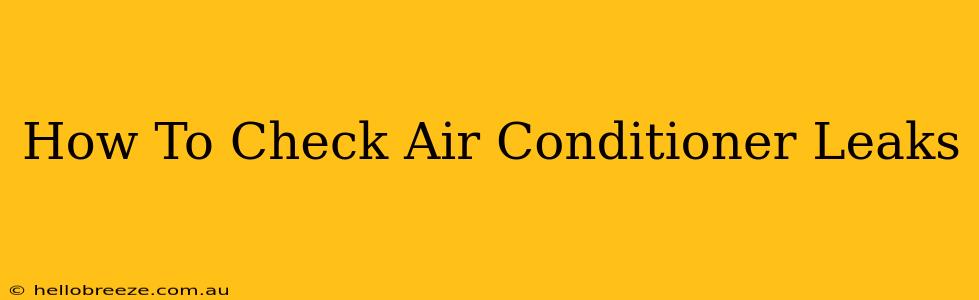 How To Check Air Conditioner Leaks