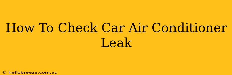 How To Check Car Air Conditioner Leak