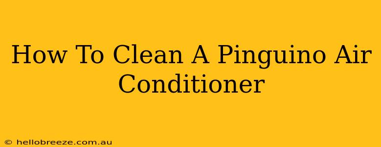 How To Clean A Pinguino Air Conditioner