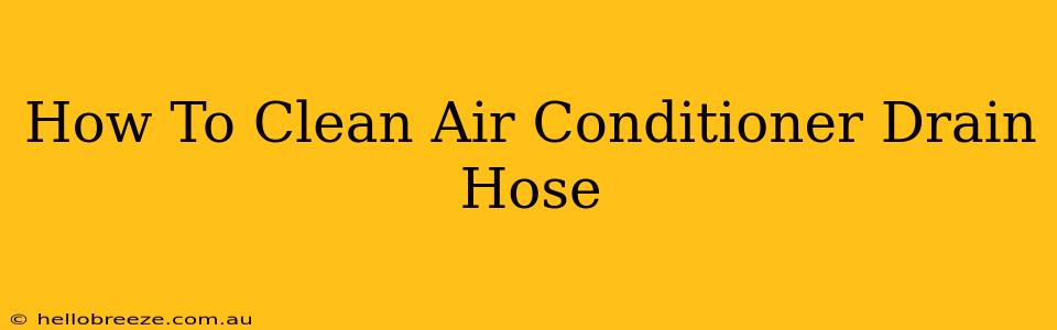 How To Clean Air Conditioner Drain Hose