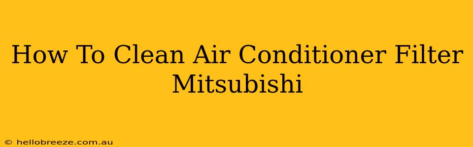 How To Clean Air Conditioner Filter Mitsubishi