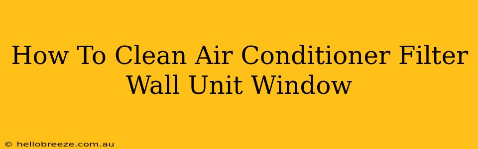 How To Clean Air Conditioner Filter Wall Unit Window