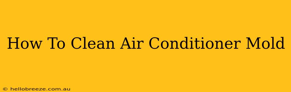 How To Clean Air Conditioner Mold