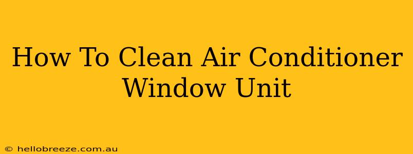 How To Clean Air Conditioner Window Unit