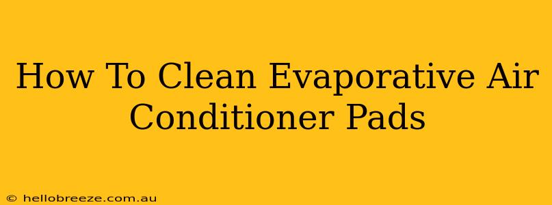 How To Clean Evaporative Air Conditioner Pads