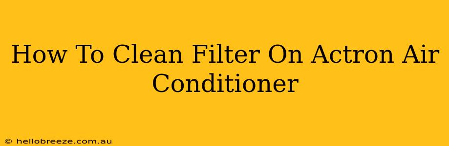 How To Clean Filter On Actron Air Conditioner