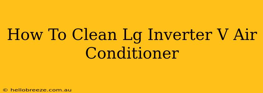 How To Clean Lg Inverter V Air Conditioner