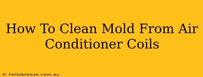 How To Clean Mold From Air Conditioner Coils