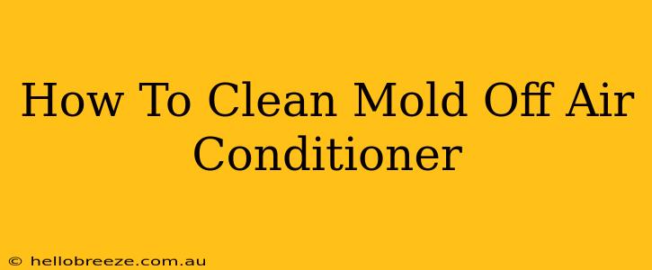 How To Clean Mold Off Air Conditioner