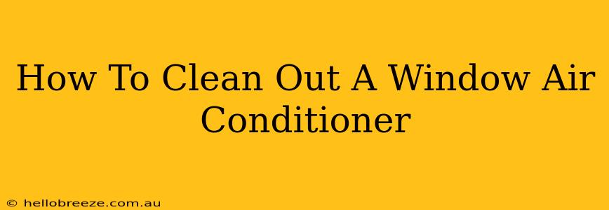 How To Clean Out A Window Air Conditioner