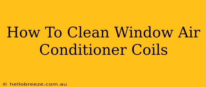 How To Clean Window Air Conditioner Coils