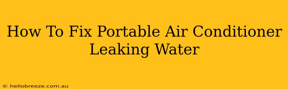 How To Fix Portable Air Conditioner Leaking Water