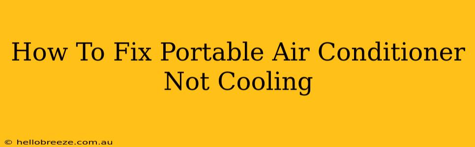 How To Fix Portable Air Conditioner Not Cooling