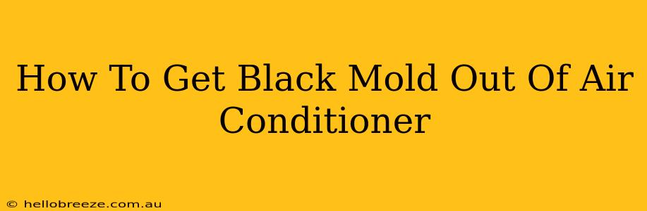 How To Get Black Mold Out Of Air Conditioner