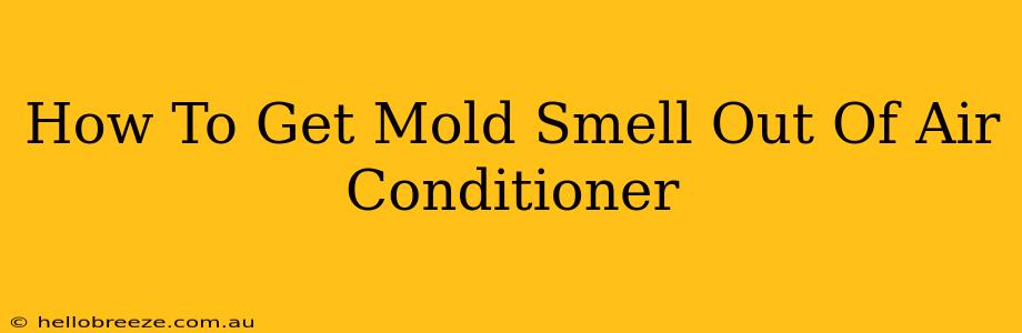 How To Get Mold Smell Out Of Air Conditioner