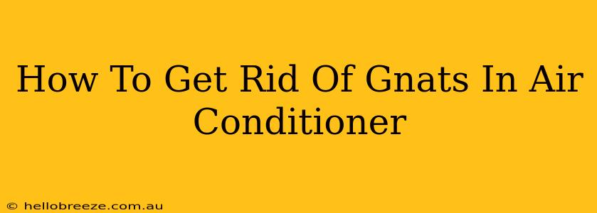 How To Get Rid Of Gnats In Air Conditioner