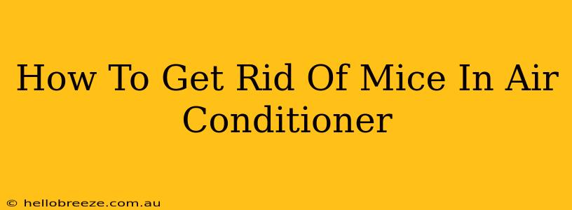 How To Get Rid Of Mice In Air Conditioner